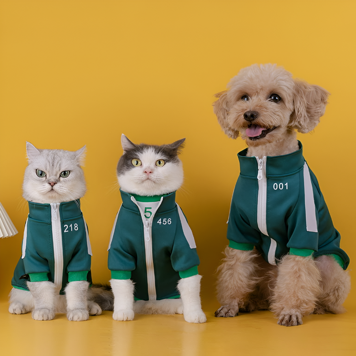Stylish Comfort — Dressing Up Your Pets